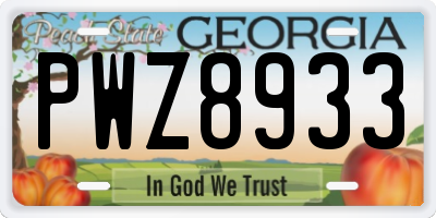 GA license plate PWZ8933