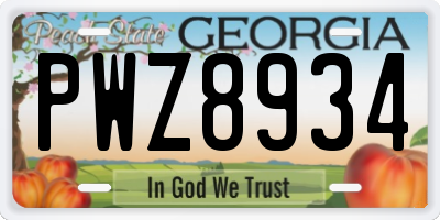 GA license plate PWZ8934