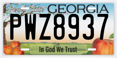 GA license plate PWZ8937