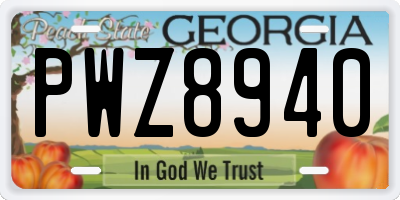 GA license plate PWZ8940