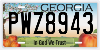 GA license plate PWZ8943