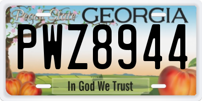 GA license plate PWZ8944
