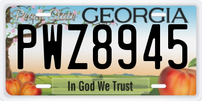 GA license plate PWZ8945
