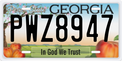 GA license plate PWZ8947