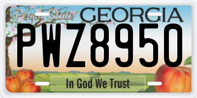 GA license plate PWZ8950