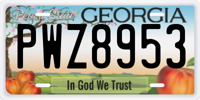 GA license plate PWZ8953
