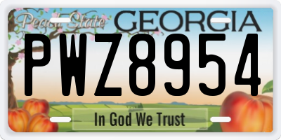 GA license plate PWZ8954