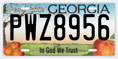 GA license plate PWZ8956