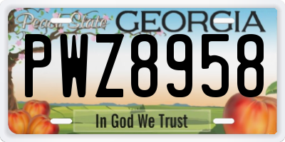 GA license plate PWZ8958
