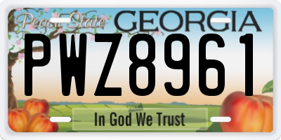 GA license plate PWZ8961