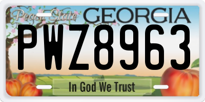 GA license plate PWZ8963