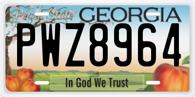GA license plate PWZ8964