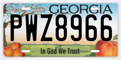 GA license plate PWZ8966