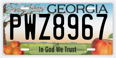GA license plate PWZ8967