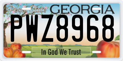GA license plate PWZ8968