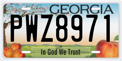GA license plate PWZ8971