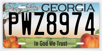 GA license plate PWZ8974