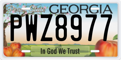GA license plate PWZ8977