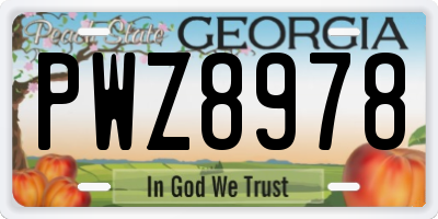 GA license plate PWZ8978