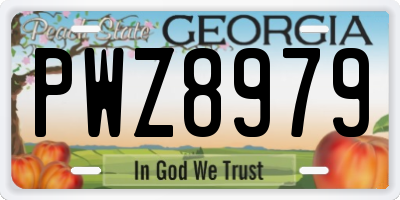 GA license plate PWZ8979