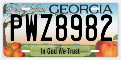 GA license plate PWZ8982
