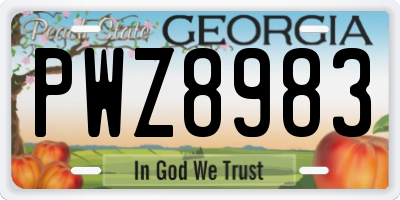 GA license plate PWZ8983