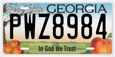 GA license plate PWZ8984