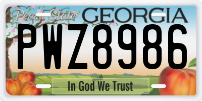 GA license plate PWZ8986