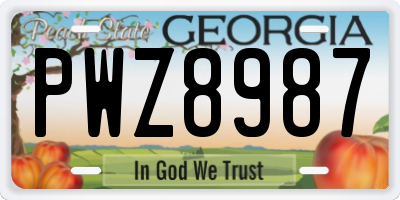 GA license plate PWZ8987