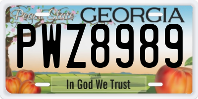 GA license plate PWZ8989