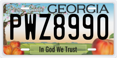 GA license plate PWZ8990