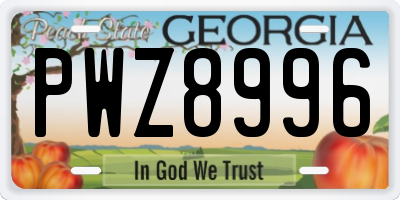 GA license plate PWZ8996