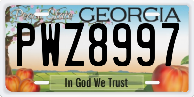 GA license plate PWZ8997