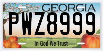 GA license plate PWZ8999