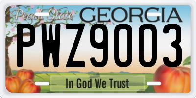 GA license plate PWZ9003