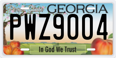 GA license plate PWZ9004
