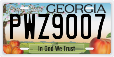 GA license plate PWZ9007