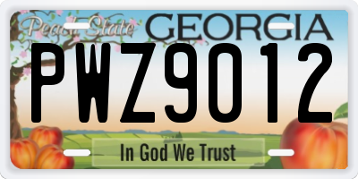 GA license plate PWZ9012