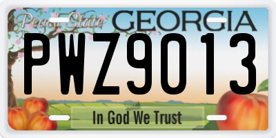 GA license plate PWZ9013