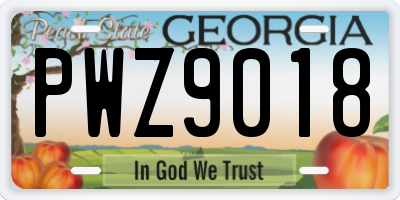 GA license plate PWZ9018