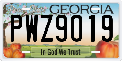 GA license plate PWZ9019