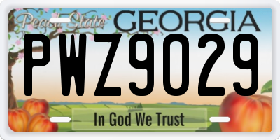 GA license plate PWZ9029