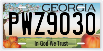 GA license plate PWZ9030