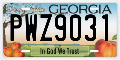 GA license plate PWZ9031