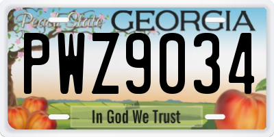 GA license plate PWZ9034