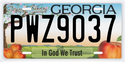 GA license plate PWZ9037