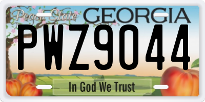 GA license plate PWZ9044
