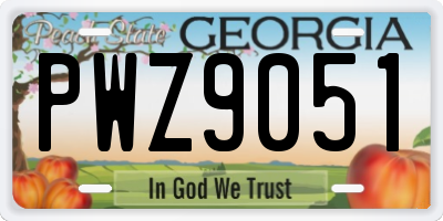 GA license plate PWZ9051