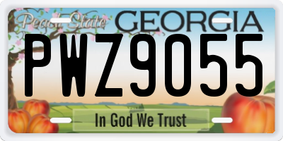 GA license plate PWZ9055