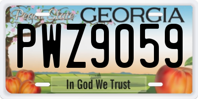 GA license plate PWZ9059